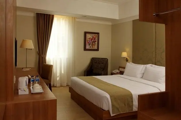 Deluxe Tek Büyük Yataklı Oda