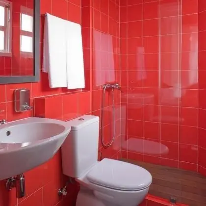 Superior Tek Büyük veya İki Ayrı Yataklı Oda, Özel Banyo