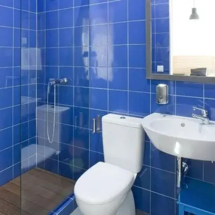 Superior Tek Büyük veya İki Ayrı Yataklı Oda, Özel Banyo