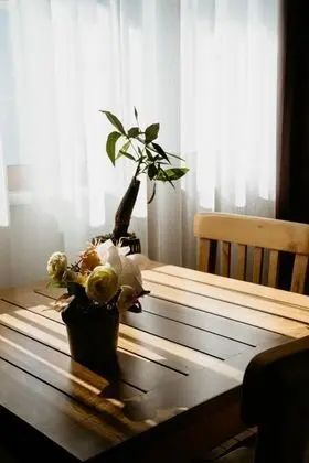 Studio, Dağ Manzaralı