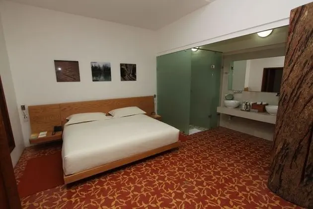 Süit