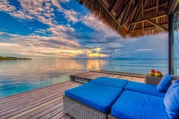 Deluxe Bungalov, Okyanus Manzaralı