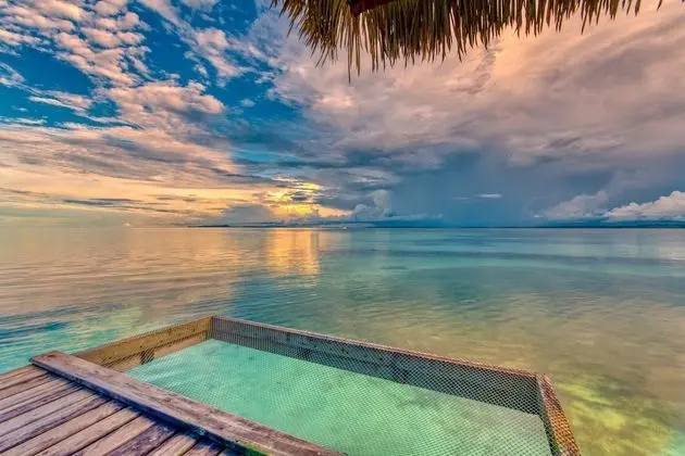 Deluxe Bungalov, Okyanus Manzaralı