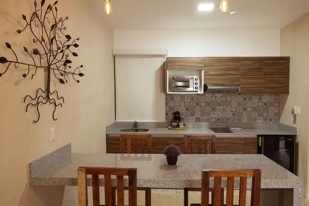 Stüdyo, 1 En Büyük (King) Boy Yatak ve Çekyat, Bahçe Manzaralı
