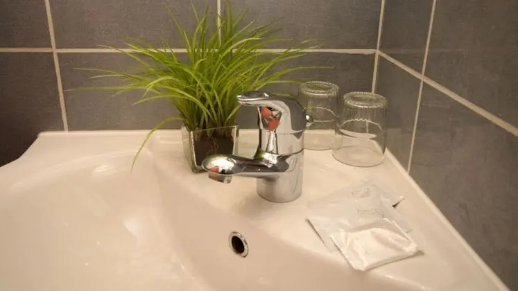 Comfort Oda, 1 Çift Kişilik Yatak, Bahçe Manzaralı