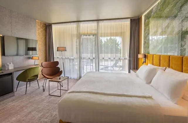 Premium Tek Büyük Yataklı Oda, Balkon, Park Manzaralı
