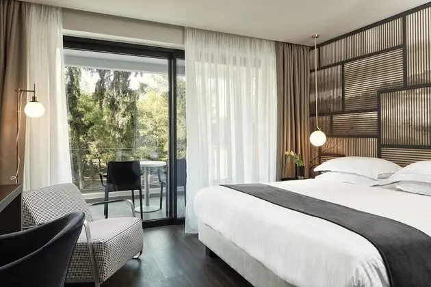 Executive Tek Büyük veya İki Ayrı Yataklı Oda