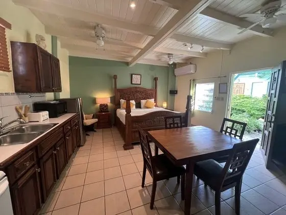 Süit, Bir En Büyük (King) Boy Yataklı, Sigara İçilmeyen (Tropical Suite)