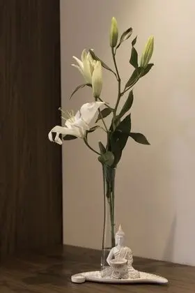 Standard Tek Büyük Yataklı Oda, 1 En Büyük (King) Boy Yatak, Şehir Manzaralı