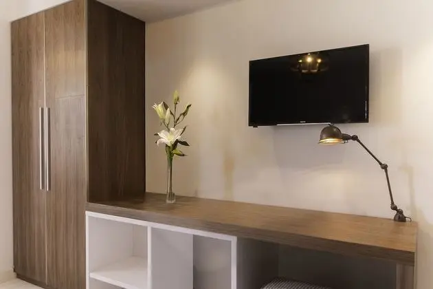 Standard Tek Büyük Yataklı Oda, 1 En Büyük (King) Boy Yatak, Şehir Manzaralı