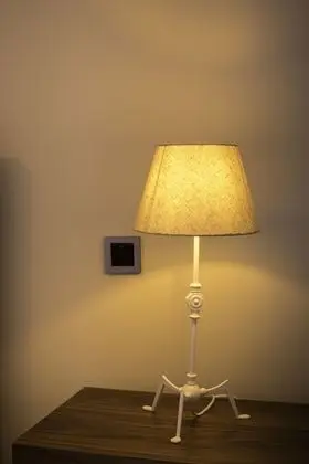 Standard Tek Büyük Yataklı Oda, 1 En Büyük (King) Boy Yatak, Şehir Manzaralı