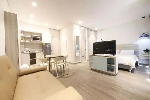 Çatı Katı (Loft), 1 Yatak Odası