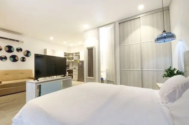 Çatı Katı (Loft), 1 Yatak Odası