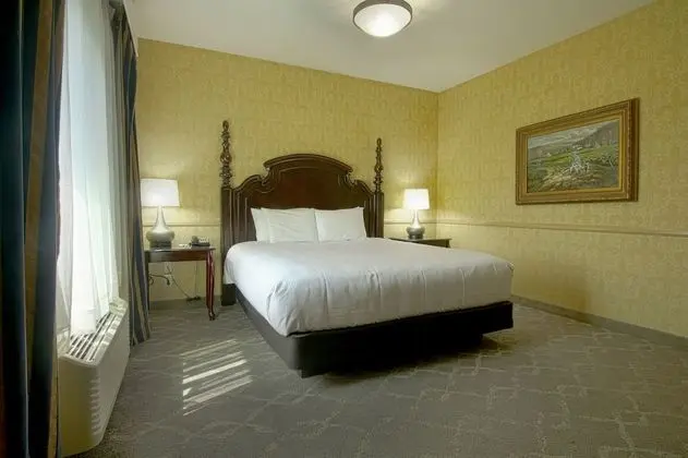 Süit, 1 En Büyük (King) Boy Yatak, Sigara İçilmez (One-Bedroom)