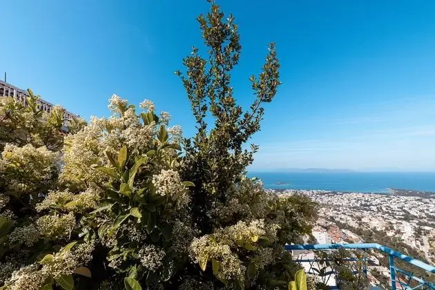 Villa, 4 Yatak Odası, Deniz Manzaralı