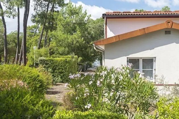 Dört Kişilik Oda, Birden Çok Yatak, Sigara İçilmez