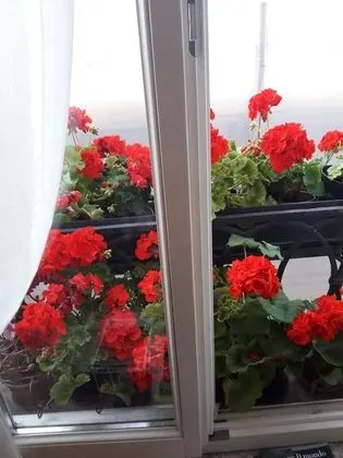 Classic Tek Büyük veya İki Ayrı Yataklı Oda