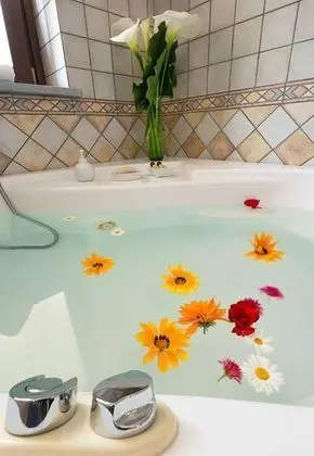 Tek Büyük veya İki Ayrı Yataklı Oda, Zemin Kat (Mirtillo - external bathroom)