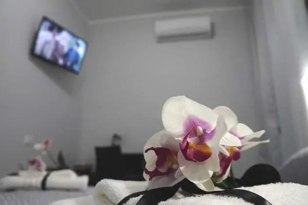 Deluxe Tek Büyük Yataklı Oda (N.2)