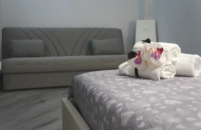 Deluxe Tek Büyük Yataklı Oda (N.2)