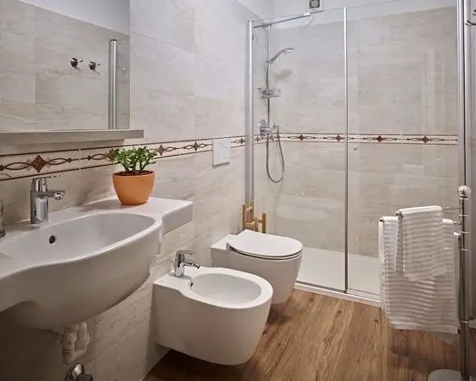 Tek Büyük veya İki Ayrı Yataklı Oda, Özel Banyo (External)
