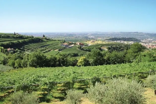 Tek Büyük Yataklı Oda, 1 Çift Kişilik Yatak