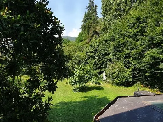 Deluxe Tek Büyük Yataklı Oda, Park Manzaralı