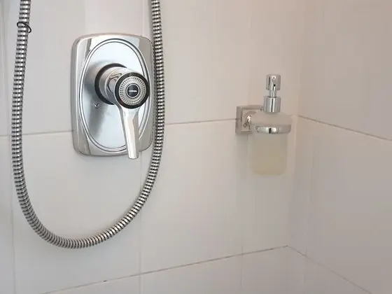 Deluxe Tek Büyük Yataklı Oda, Park Manzaralı