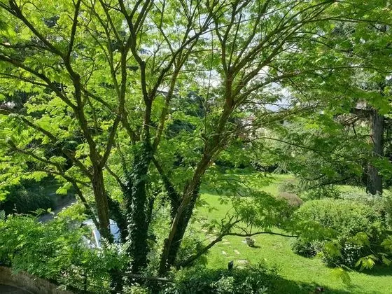 Üç Kişilik Oda, Park Manzaralı