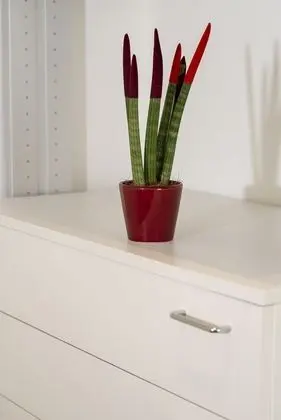 Deluxe Üç Kişilik Oda, Kısmi Deniz Manzaralı (Mares)