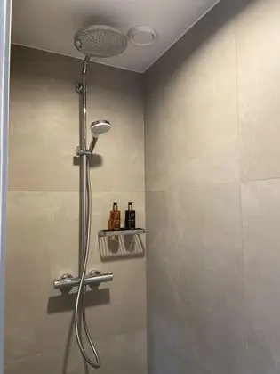 Luxury Oda, 1 En Büyük (King) Boy Yatak, Sigara İçilmez (Suite Florentine)