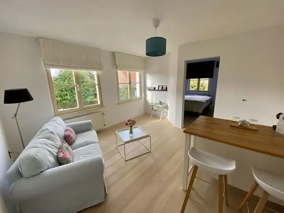 Luxury Oda, 1 En Büyük (King) Boy Yatak, Sigara İçilmez (Suite Florentine)