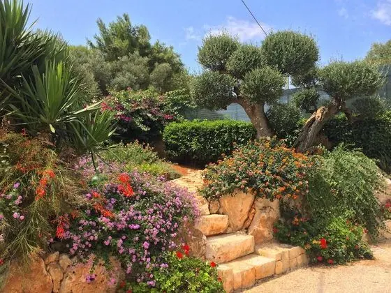 Superior Tek Büyük Yataklı Oda, Bahçe Manzaralı