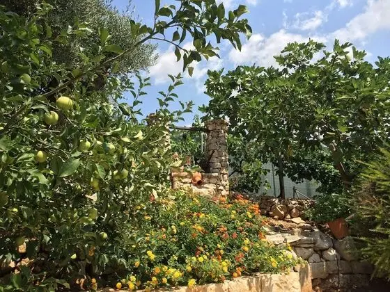 Traditional Tek Büyük Yataklı Oda, Bahçe Manzaralı