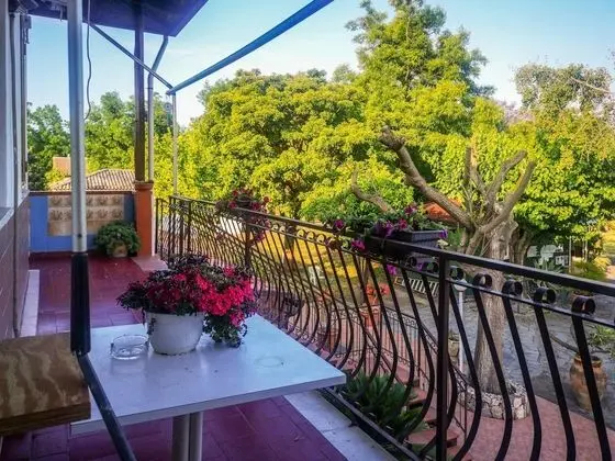 Stüdyo, Birden Çok Yatak, Teras (3 people)