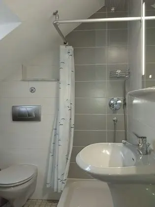 Business Stüdyo, Birden Çok Yatak, Sigara İçilmez, Mikrodalga (Dachstudio mit Seeblick)