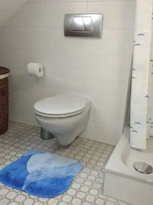 Business Stüdyo, Birden Çok Yatak, Sigara İçilmez, Mikrodalga (Dachstudio mit Seeblick)