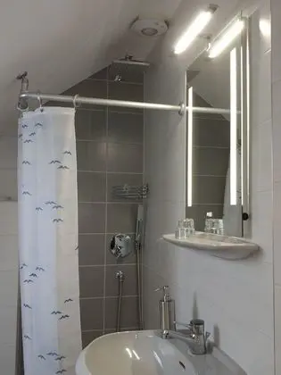 Business Stüdyo, Birden Çok Yatak, Sigara İçilmez, Mikrodalga (Dachstudio mit Seeblick)