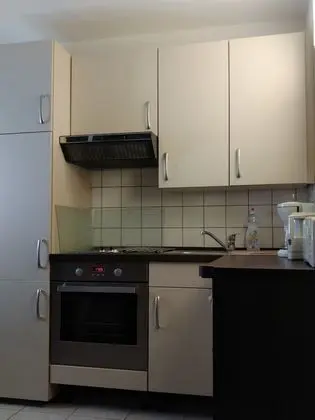 Classic Stüdyo, 1 Yatak Odası, Mutfak, Göl Manzaralı (Studio mit Küche & Badmitbenutzung)