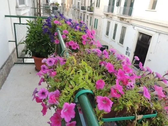 Tek Büyük Yataklı Oda, Balkon