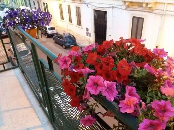 Tek Büyük Yataklı Oda, Balkon