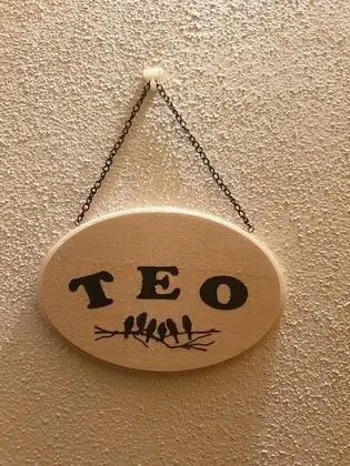 Tek Büyük Yataklı Oda, Özel Banyo, Dağ Manzaralı (Teo)