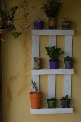 Tek Büyük Yataklı Oda, Özel Banyo, Dağ Manzaralı (Teo)