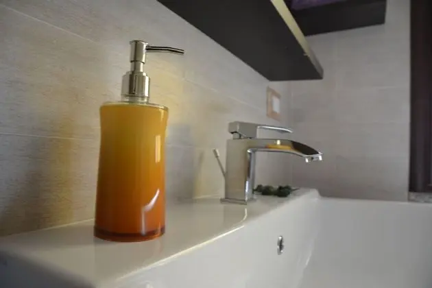 Tek Büyük Yataklı Oda, Özel Banyo, Dağ Manzaralı (Teo)