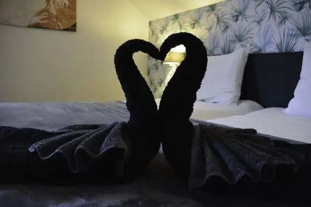 Comfort Tek Büyük veya İki Ayrı Yataklı Oda, 1 Yatak Odası