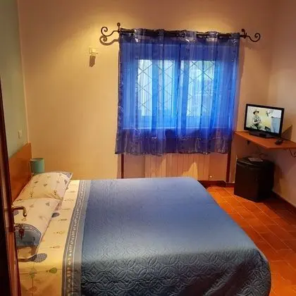 Deluxe Oda, 1 Yatak Odası, Özel Banyo, Zemin Kat