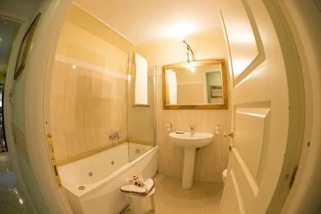 Superior Tek Büyük Yataklı Oda, Şehir Manzaralı