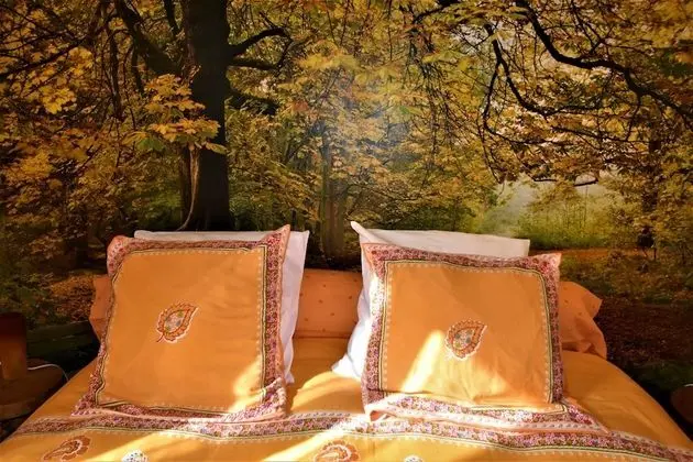 Family Süit, 2 Yatak Odası (Forêt)