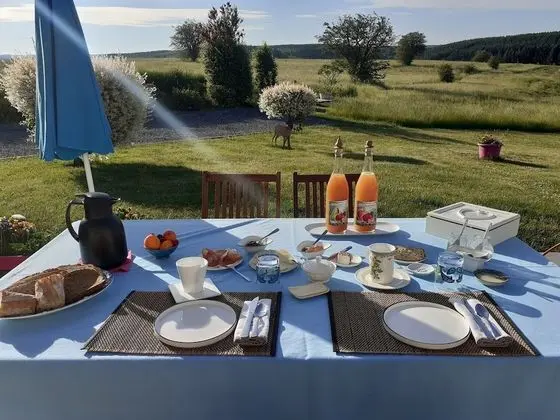 Panoramic Tek Büyük Yataklı Oda, 1 Yatak Odası, Sigara İçilmez, Bahçe Manzaralı (Forêt)
