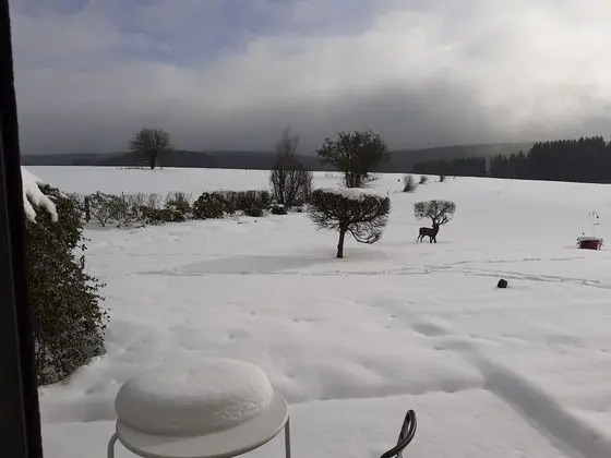 Panoramic Tek Büyük Yataklı Oda, 1 Yatak Odası, Sigara İçilmez, Bahçe Manzaralı (Forêt)